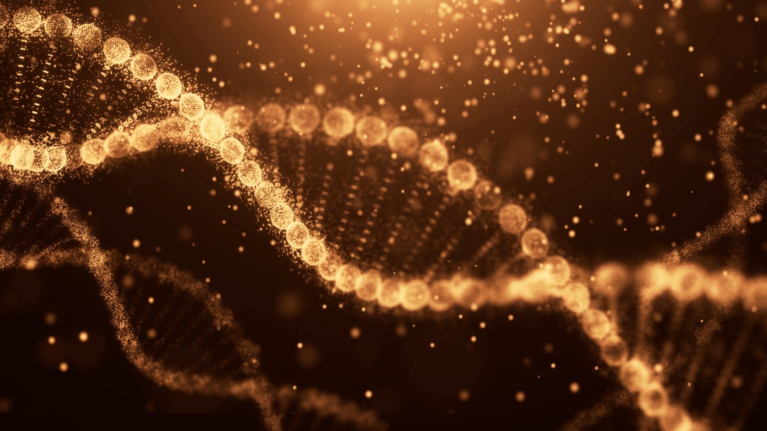 DNA