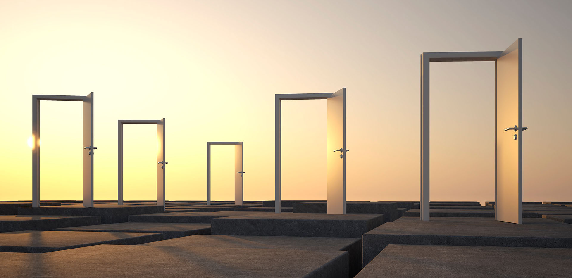 Organisationskultur by next step